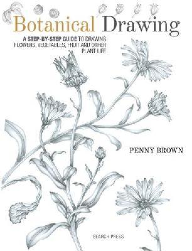 BOTANICAL DRAWING STEP BY STEP GUIDE TO DRAWING FLOWERS BOOK