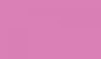 Albrecht Durer #263 Caput Mortuum Violet